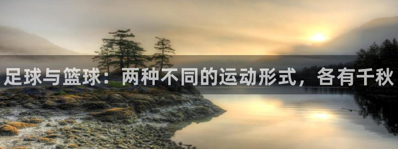 JJB竞技宝官网下载平台注册流程视频：足球与篮球：两