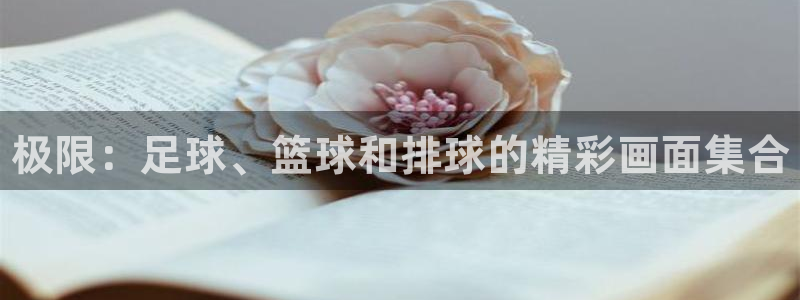 JJB竞技宝官网下载招商电话是多少：极限：足球、篮球和排球的