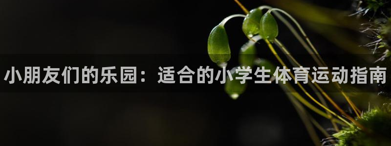JJB竞技宝官网下载招商电话是多少号码：小朋友们的乐