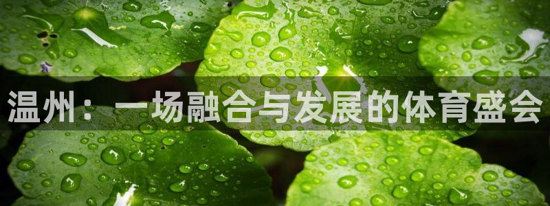 JJB竞技宝官网下载软件：温州：一场融合与发展的体育盛会