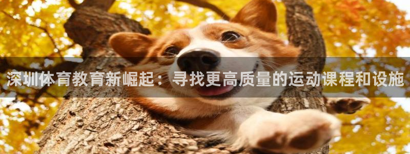 JJB竞技宝官方正版app官网：深圳体育教育新崛起：寻找更高