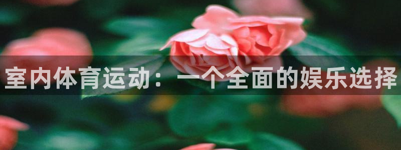 JJB竞技宝官网下载平台注册流程图：室内体育运动：一个全面的