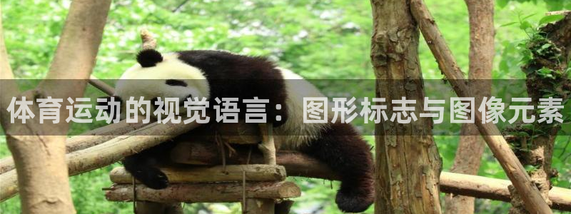 JJB竞技宝官方正版app集团简介：体育运动的视觉语言：图形