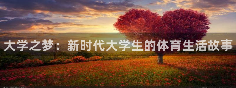 JJB竞技宝官网下载招商：大学之梦：新时代大学生的体育生活故