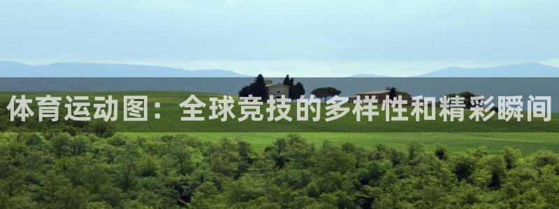 JJB竞技宝官网下载平台是正规平台吗知乎：体育运动图：全球竞