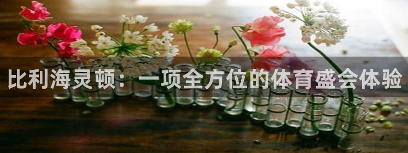 JJB竞技宝官网下载平台是正规平台吗知乎：比利海灵顿：一项全