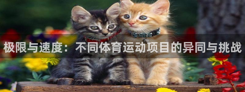 JJB竞技宝官方正版app集团简介：极限与速度：不同体育运动