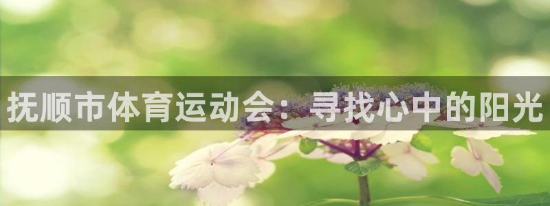 JJB竞技宝官网下载注册：抚顺市体育运动会：寻找心中的阳光