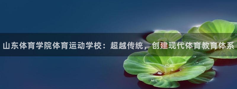 JJB竞技宝官网下载平台APP：山东体育学院体育运动