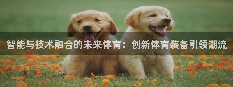 JJB竞技宝官方平台体育：智能与技术融合的未来体育：