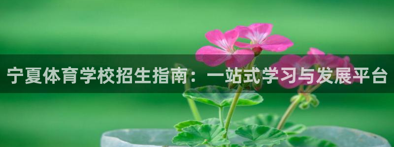 海南JJB竞技宝官网下载：宁夏体育学校招生指南：一站