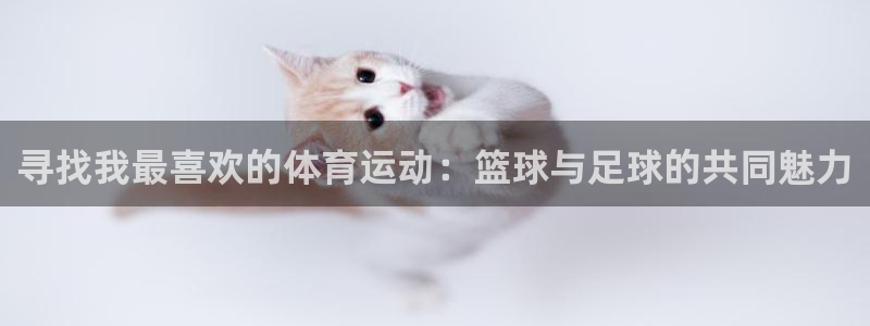 海南JJB竞技宝官网下载：寻找我最喜欢的体育运动：篮