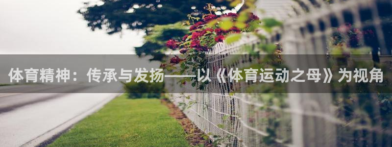 德国JJB竞技宝官方正版app集团：体育精神：传承与
