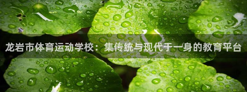 JJB竞技宝官网下载平台注册流程视频：龙岩市体育运动