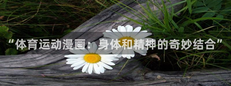JJB竞技宝官网下载招商电话地址：“体育运动漫画：身