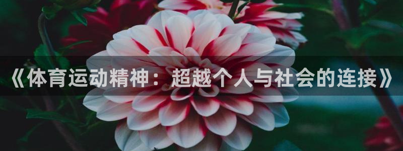 海南JJB竞技宝官网下载发展怎么样：《体育运动精神：