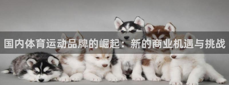 JJB竞技宝官方正版app集团E.ON：国内体育运动