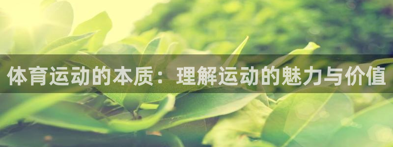 JJB竞技宝官网下载招商电话是多少号码：体育运动的本质：理解