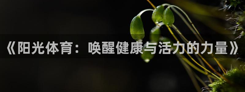 JJB竞技宝官网下载招商电话号码是多少