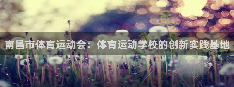 JJB竞技宝官方平台体育：南昌市体育运动会：体育运动学校的创